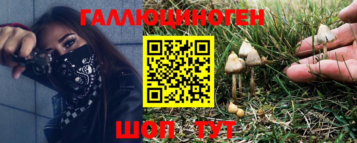 Шали  Псилоцибиновые грибы прущие грибы  Вход с VPN  Псилоцибиновые грибы Magic Shrooms 