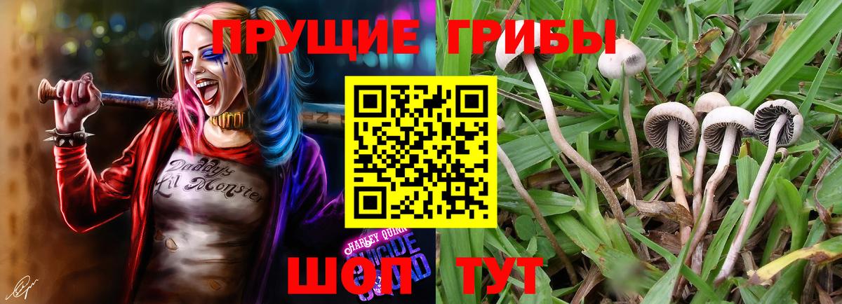 Галлюциногенные грибы GOLDEN TEACHER Шали